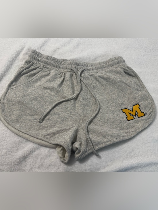 Hype and Vice Pants - Hype & Vice Michigan Heather Gray Fleece Shorts Size L
